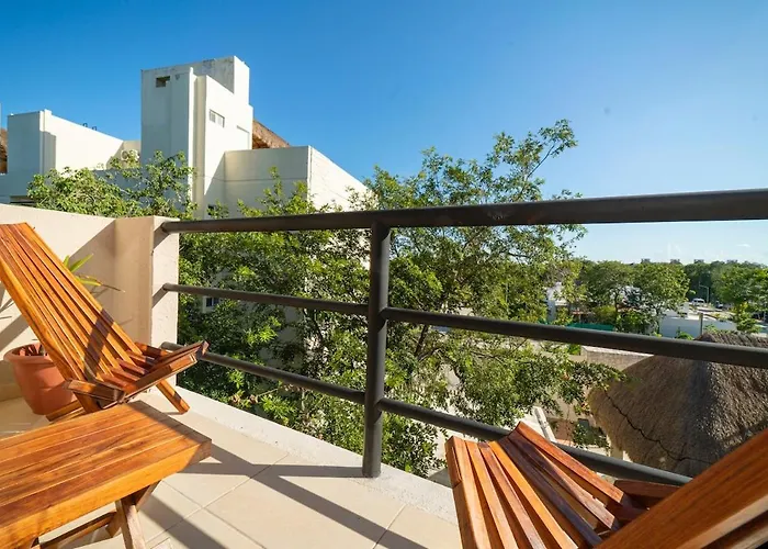 In Rooftop With Jungle View Puerto Morelos